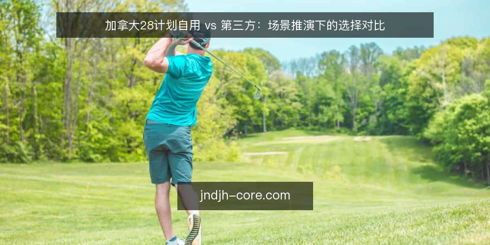 加拿大28计划自用 vs 第三方:场景推演下的选择对比 — 场景设定:从观望到需要决策 配图
