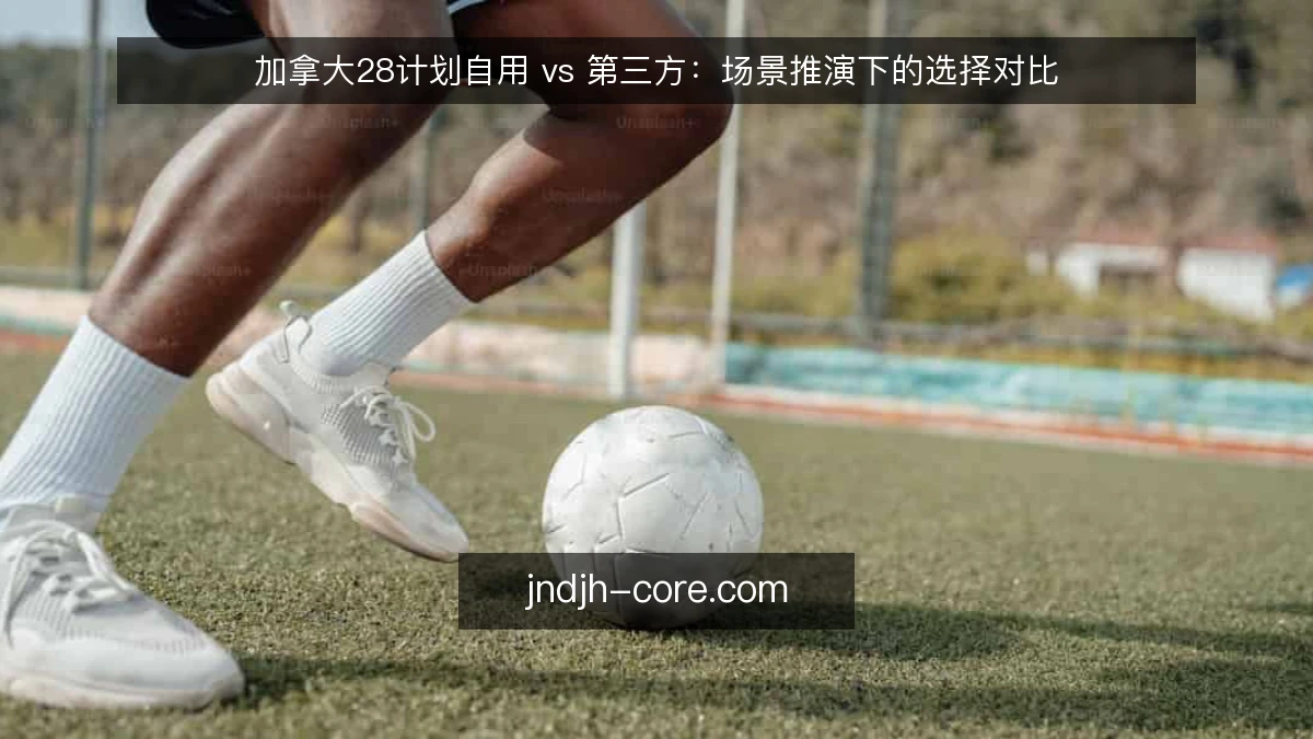 加拿大28计划自用 vs 第三方:场景推演下的选择对比
