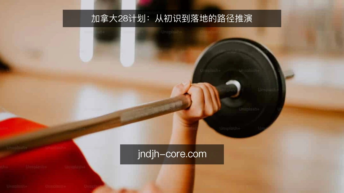 加拿大28计划：从初识到落地的路径推演