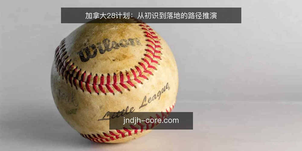 加拿大28计划：从初识到落地的路径推演 — 基线：明确目标与约束 配图
