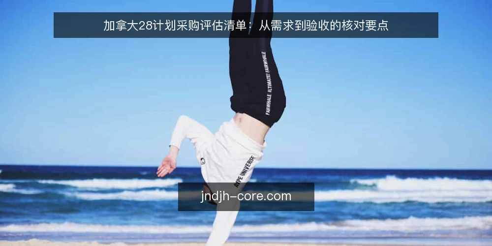 加拿大28计划采购评估清单:从需求到验收的核对要点 — 为什么现在需要审计加拿大28计划方案 配图