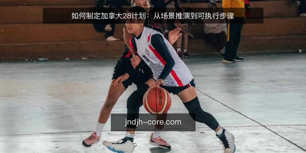 如何制定加拿大28计划：从场景推演到可执行步骤 — 场景设定：一个典型的加拿大28计划需求 配图