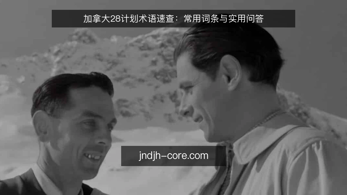 加拿大28计划术语速查：常用词条与实用问答
