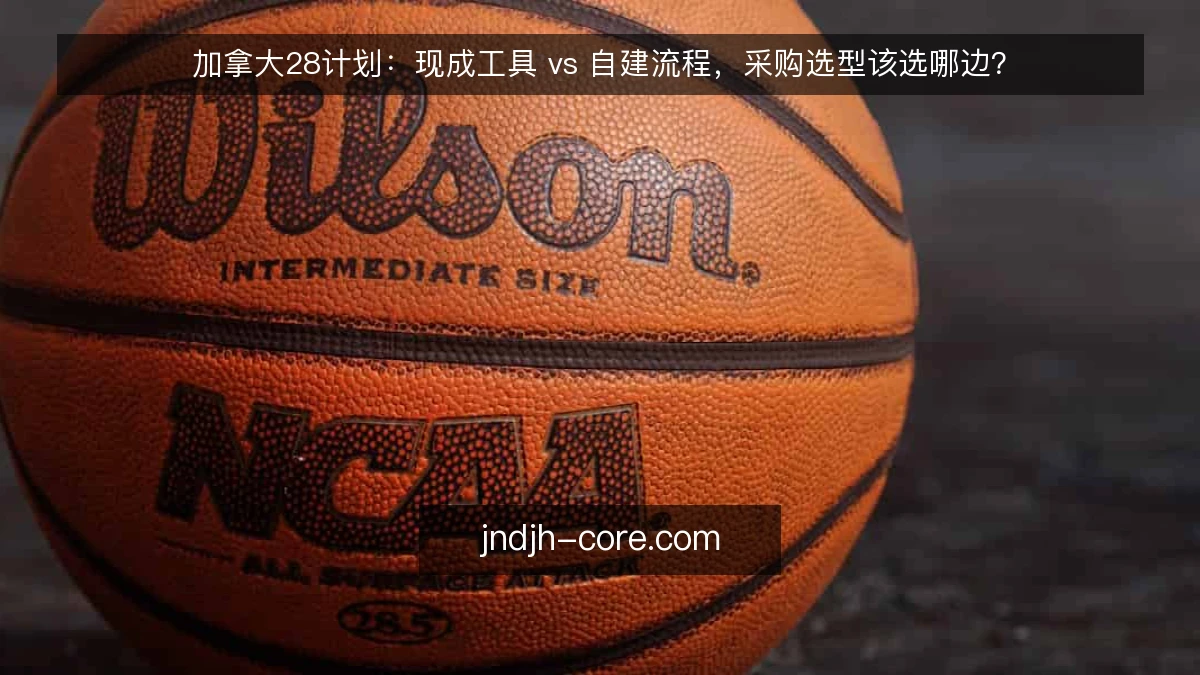 加拿大28计划：现成工具 vs 自建流程，采购选型该选哪边？