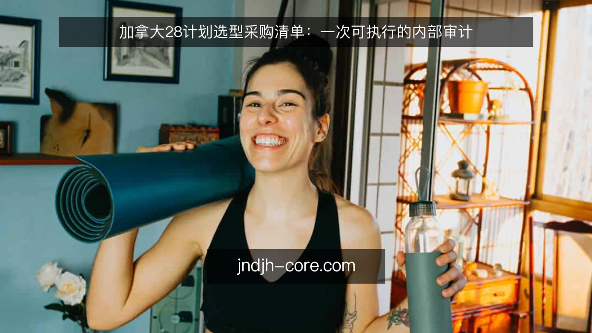 加拿大28计划选型采购清单:一次可执行的内部审计