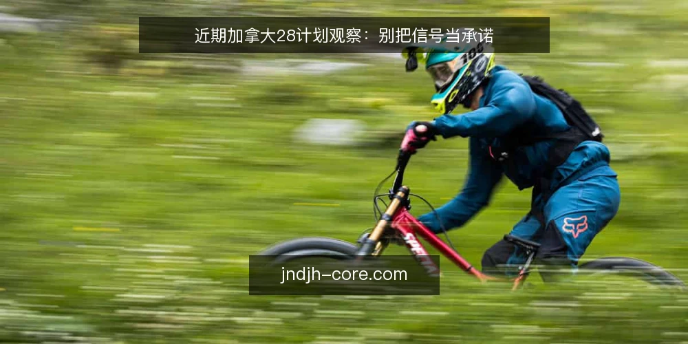 近期加拿大28计划观察:别把信号当承诺 — 近期讨论里的一个共同误读 配图