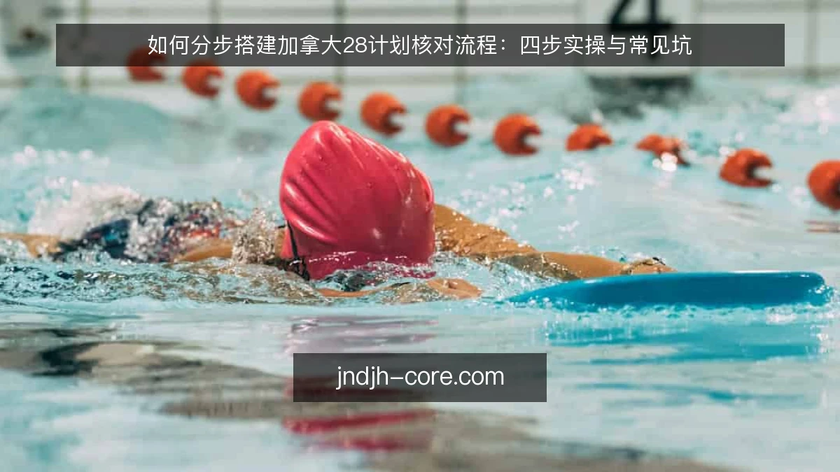 如何分步搭建加拿大28计划核对流程：四步实操与常见坑