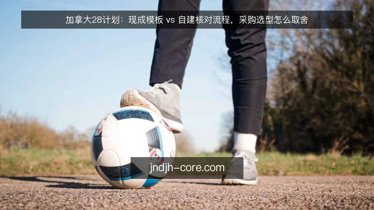 加拿大28计划:现成模板 vs 自建核对流程,采购选型怎么取舍